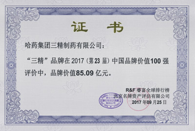 2017年三精品牌價(jià)值證書